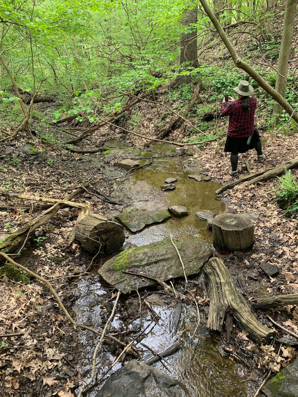 Man standing near a small stream in the woods taking a photograph Man standing near a small stream in the woods taking a photograph