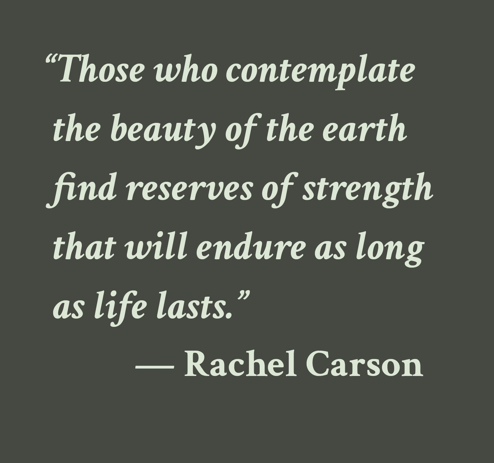 “Those who contemplate the beauty of the earth find reserves of strength that will endure as long as life lasts.” — Rachel Carson
