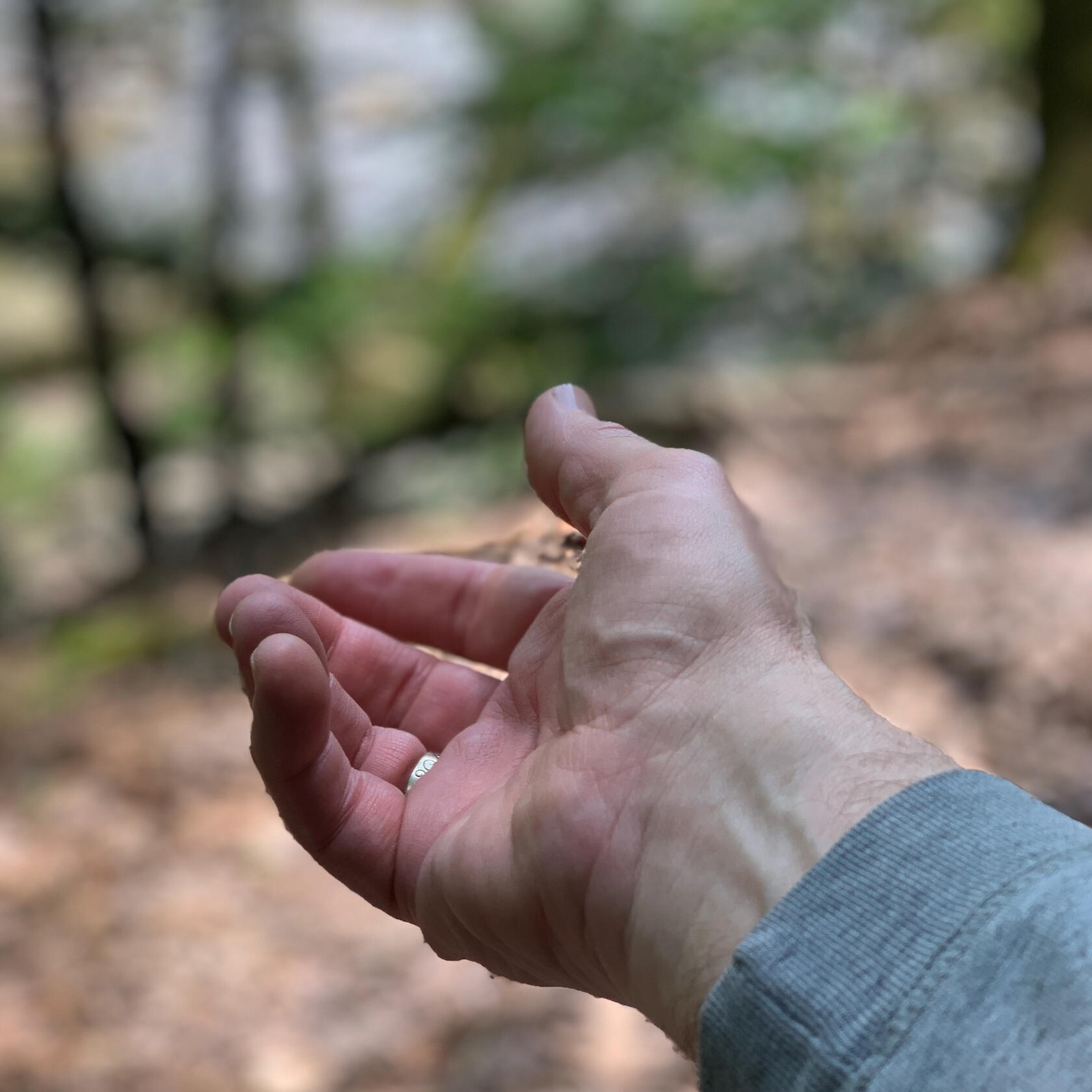 Man's hand, palm up, extended toward trees in the background